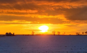 Hey Pandas, Post Your Best Nature Photograph You've Taken