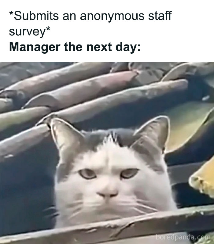 50 Painfully Hilarious Memes From "Just A Typical Hr Person"