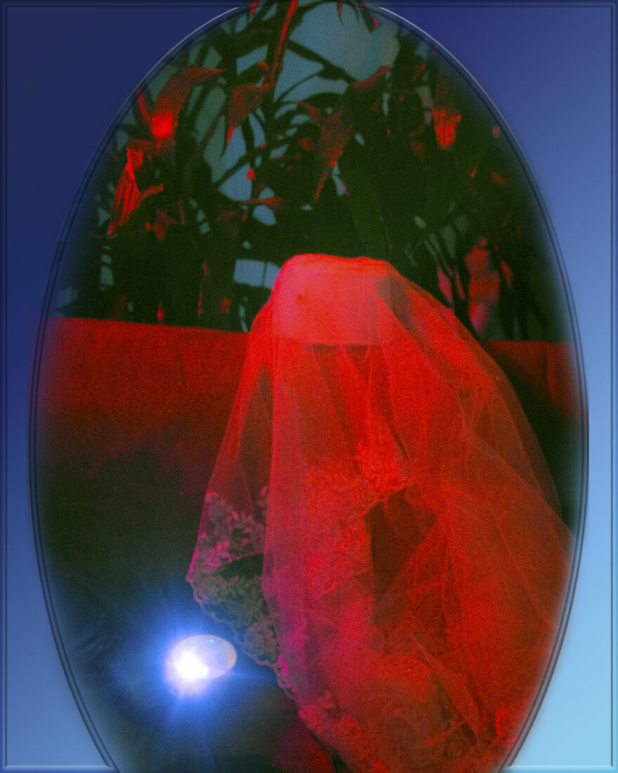 My Own Photo Catalouge