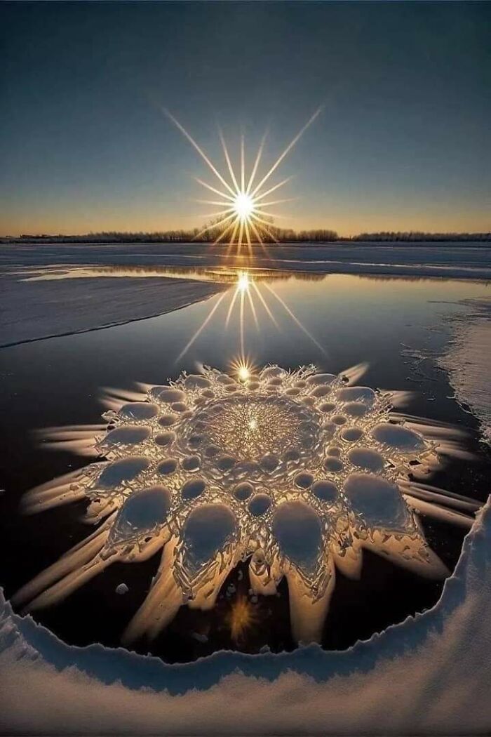 The Formation Of ‘Ice Flowers’ Is A Beautiful Natural Phenomenon In The Great Lakes Region Of North America