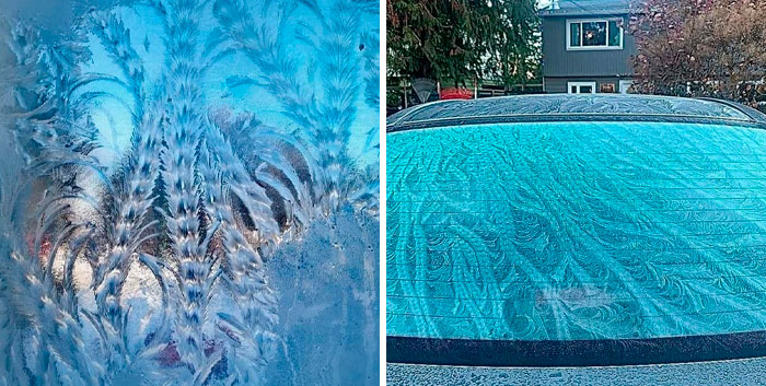 I Wanted To Share, I’ve Never Seen This Frost Pattern Before, I Had A Couple Neighbours Discover It Before I Did, The Little Car Got Some Attention That Day. Looks Like Ropes, Some As Long As The Length Of The Window