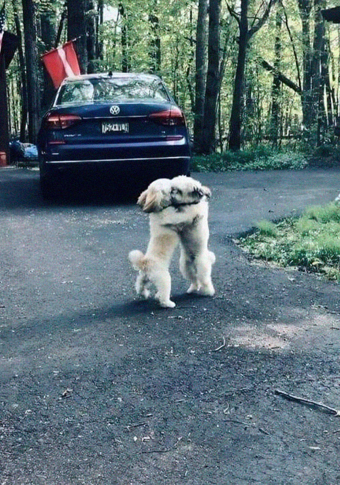 Charlie And His Brother Benny Haven’t Seen Each Other Since February