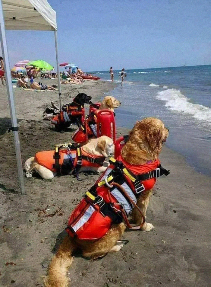 Lifeguards - The Beach In Croatia