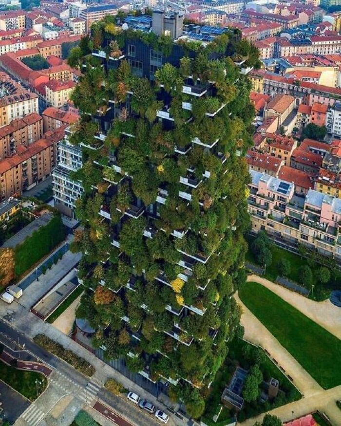 The World First Vertical Forest In Milan, Italy