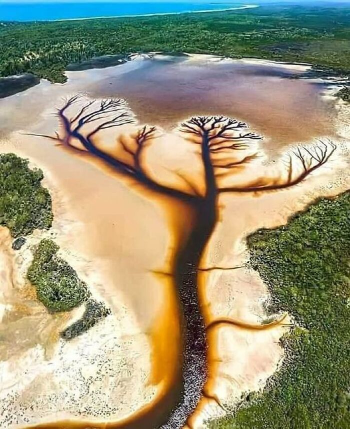 This Lake In Australia And The Shape In It Are Called The Tree Of Life
