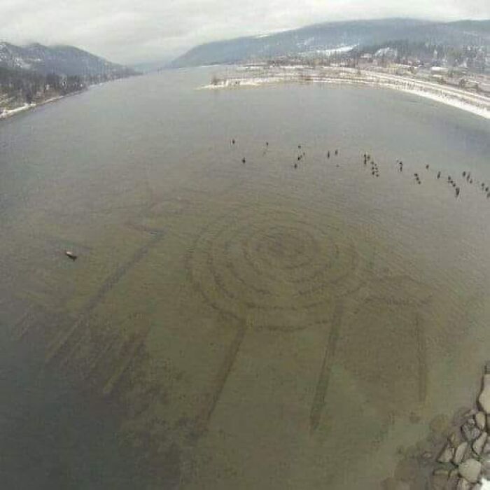 Underwater Geoglyph, Accidentally Captured By A Pilot On Lake Kootenay (St, Nelson), Ten Hours From Vancouver, Canada