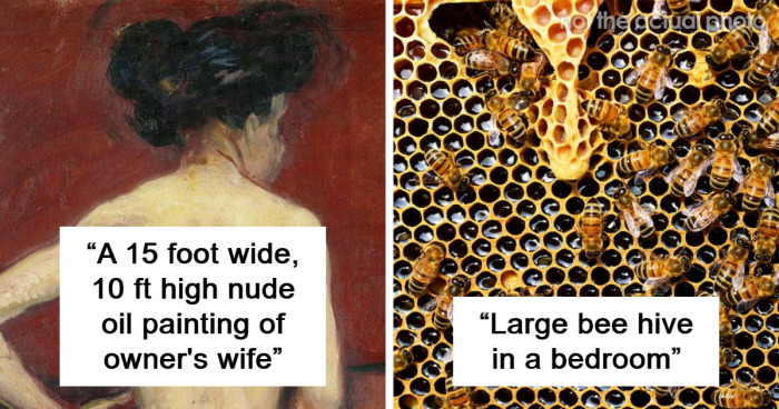 “The Carpet Was Just Like Squish Squish Squish”: 30 Wild Things Workers Saw In Clients’ Homes