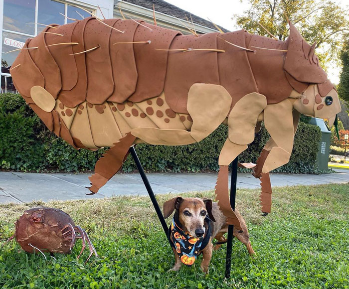 dog standing near the big toy flea