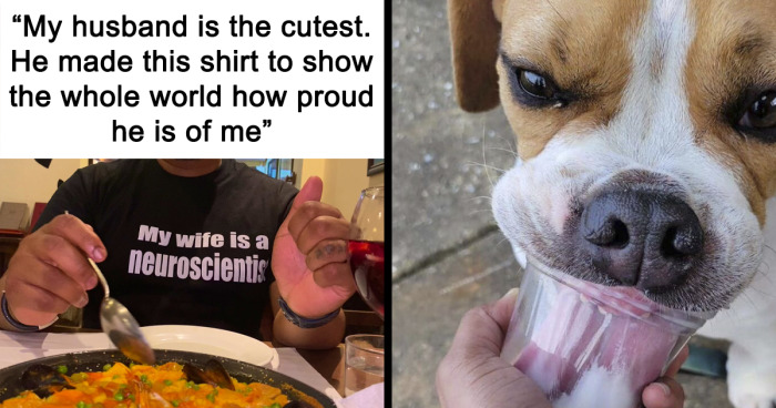 A Collection Of 109 Wholesome Memes For Your Soul