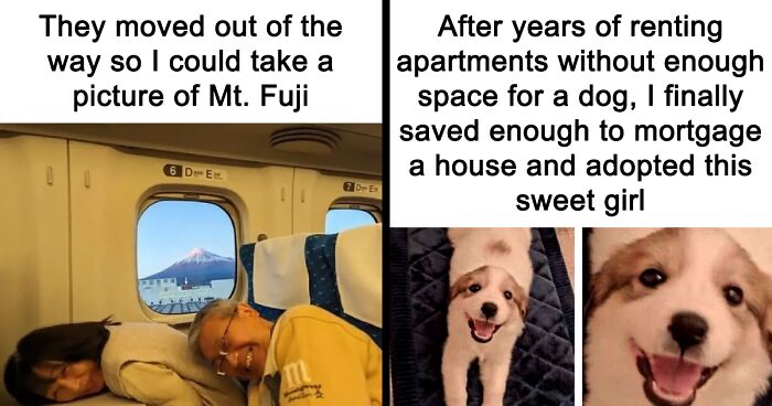 A Collection Of 109 Wholesome Memes For Your Soul