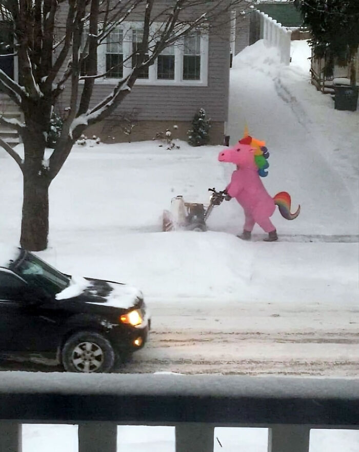 Hay alguien quitando la nieve vestido de unicornio, esto es lo que quiero en mi comunidad