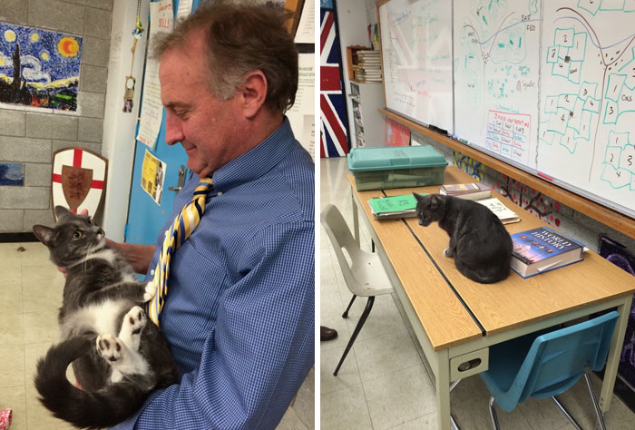 The Highlight Of My Day Was My Teacher Bringing His Cat To School. Everytime He Asked The Class A Question, His Cat Would Meow, And He Would Accept It As An Answer