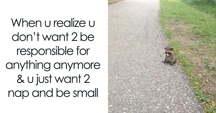 50 ‘Why Is My Brain Like This’ Memes That Almost Seem Like Personal Attacks