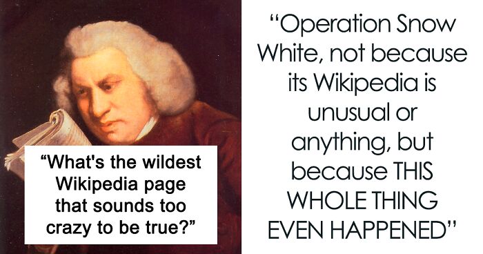 38 Wikipedia Pages That Are So Wild People Online Can’t Believe That They’re Real