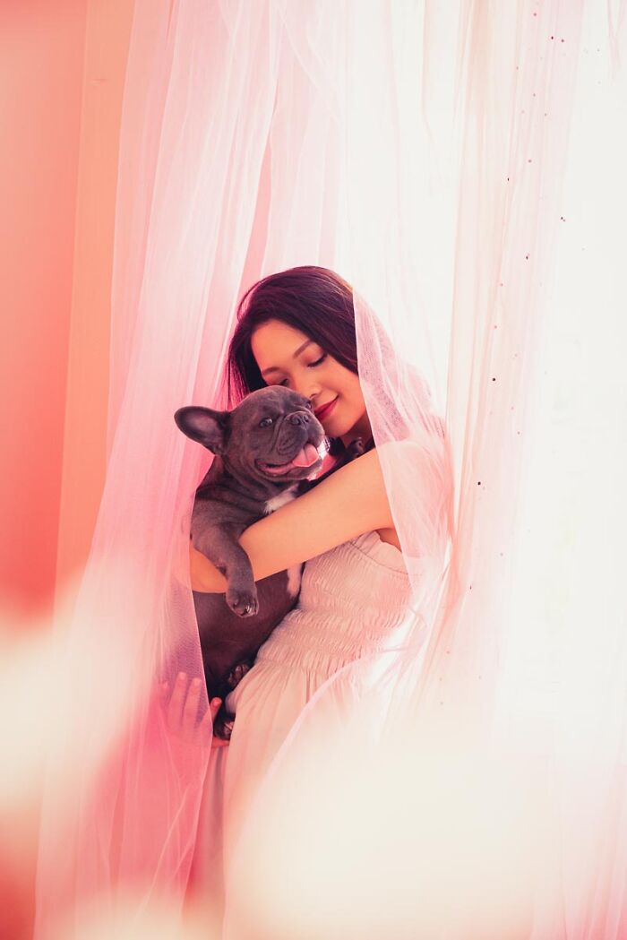 Melon The Frenchie Enjoys Cuddles In A Pretty Corner Of The Photo Studio