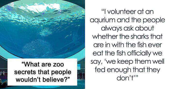 Someone Asks Zookeepers “What Are Zoo Secrets That People Wouldn’t Believe?”, Gets 21 Replies