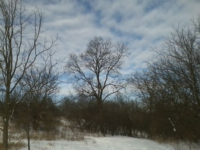 Illinois During Winter