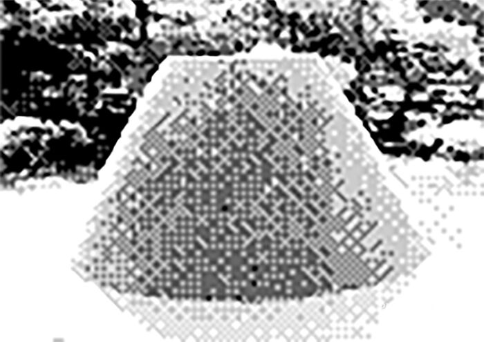 Japonism & Zen Japonism & Zen