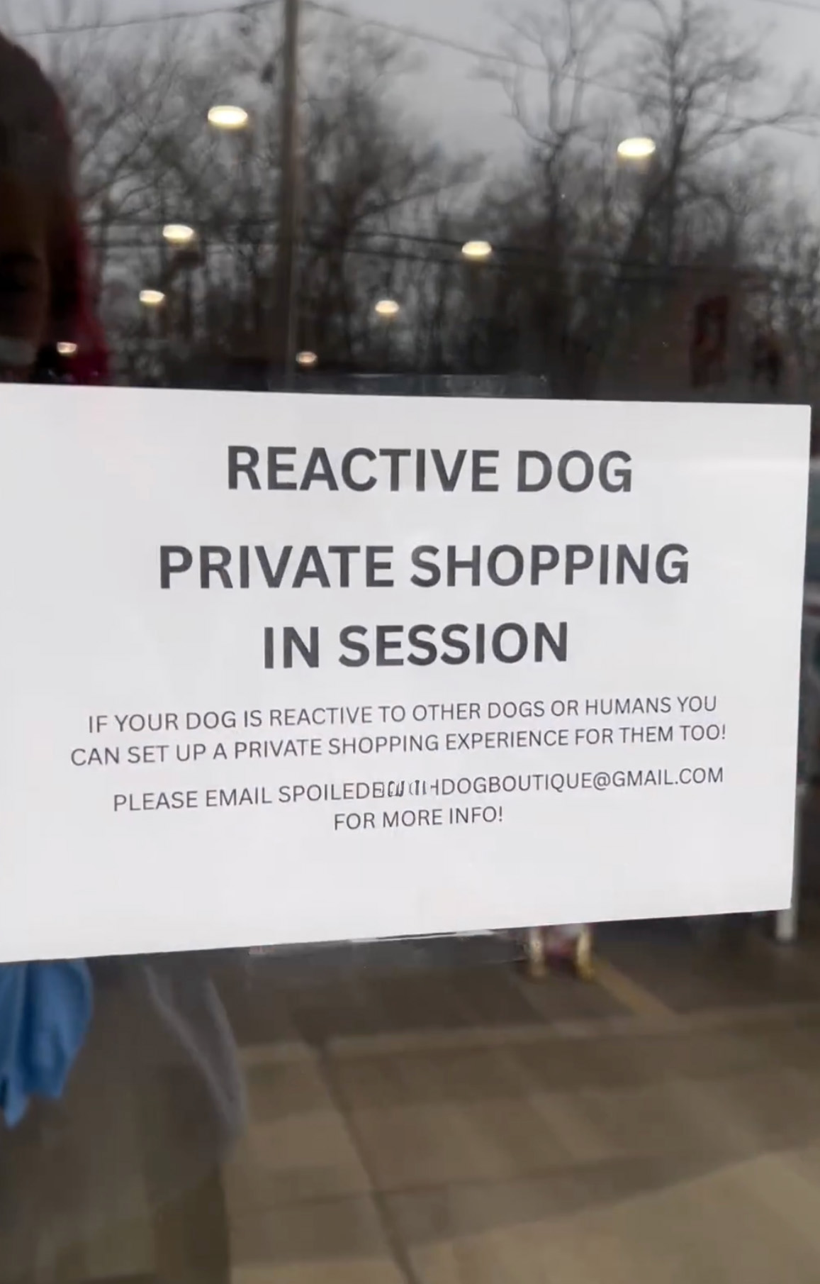 Misunderstood Doggies Can Finally Shop In Peace At This Pet Store