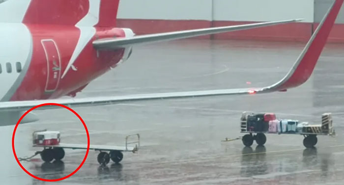 Mass Outrage After Airline Caught Leaving Pet Crates In The Rain