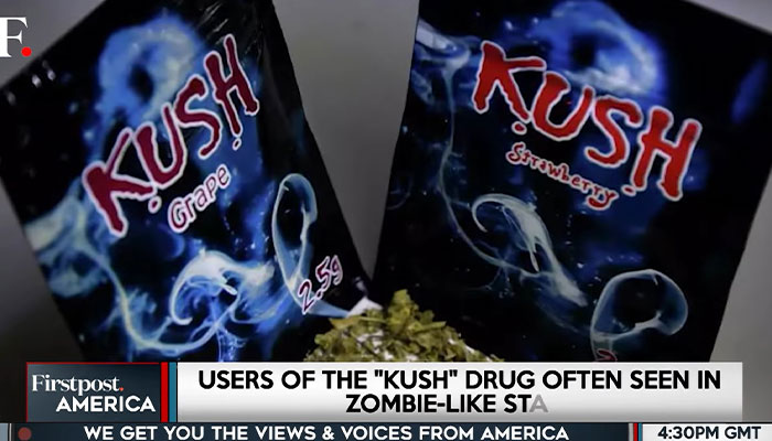 “Zombie Psychoactive” Users Begin Digging Up Graves For Ingredients, Prompting National Emergency “Zombie Psychoactive” Users Begin Digging Up Graves For Ingredients, Prompting National Emergency