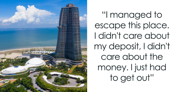 Failed “Forest City” Mega-Project Is Now Reportedly Filled With Crocodiles