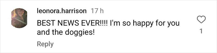 Molly The Magpie Reunites With Family After Forcibly Being Taken Away From Home Molly The Magpie Reunites With Family After Forcibly Being Taken Away From Home