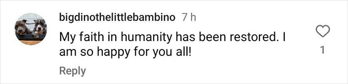 Molly The Magpie Reunites With Family After Forcibly Being Taken Away From Home Molly The Magpie Reunites With Family After Forcibly Being Taken Away From Home