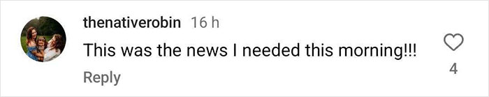 Molly The Magpie Reunites With Family After Forcibly Being Taken Away From Home Molly The Magpie Reunites With Family After Forcibly Being Taken Away From Home