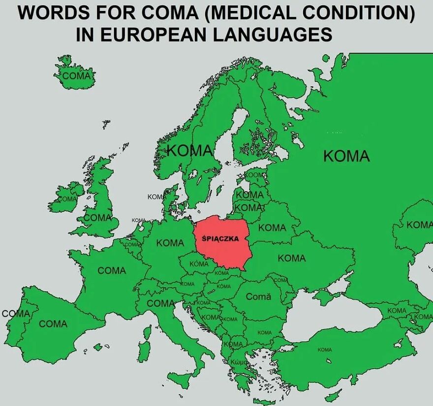 Words For Coma (The Medical Condition) In European Languages