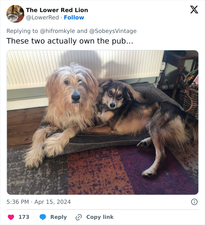 “Dog-Friendly, Child-Free” Pub That’s Been Banning Kids For 11 Years Sparks Heated Debate “Dog-Friendly, Child-Free” Pub That’s Been Banning Kids For 11 Years Sparks Heated Debate