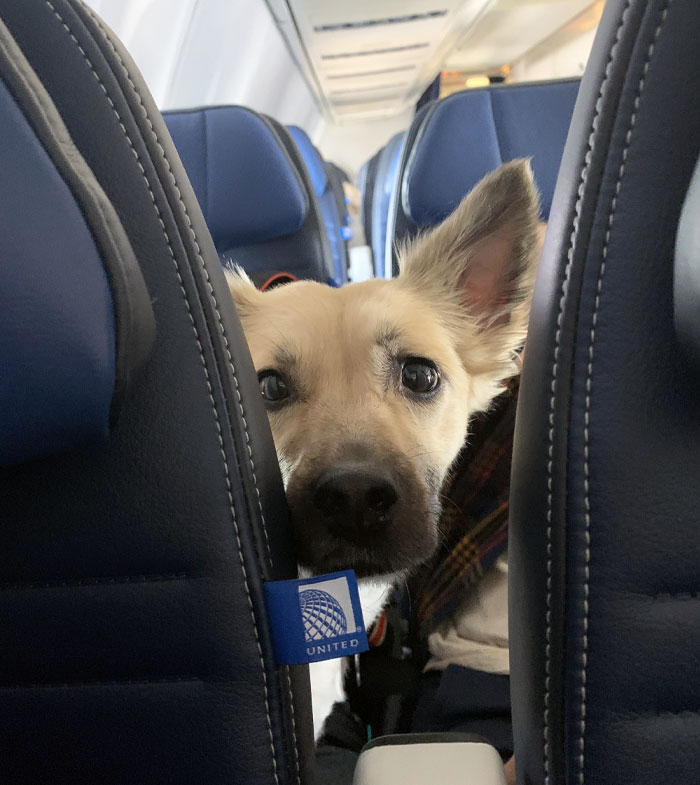 This Cutie Was Behind Me On My Last Flight