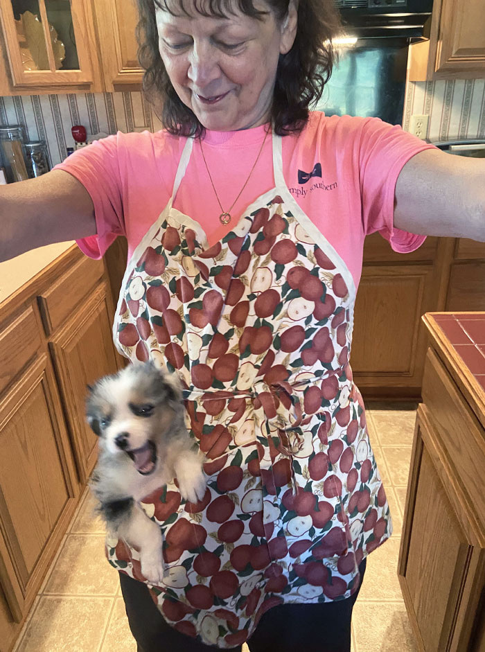 My Mom Puts Her Puppy In Her Apron Pocket When She Preps Dinner, And I’m Not Sure Who Enjoys It More