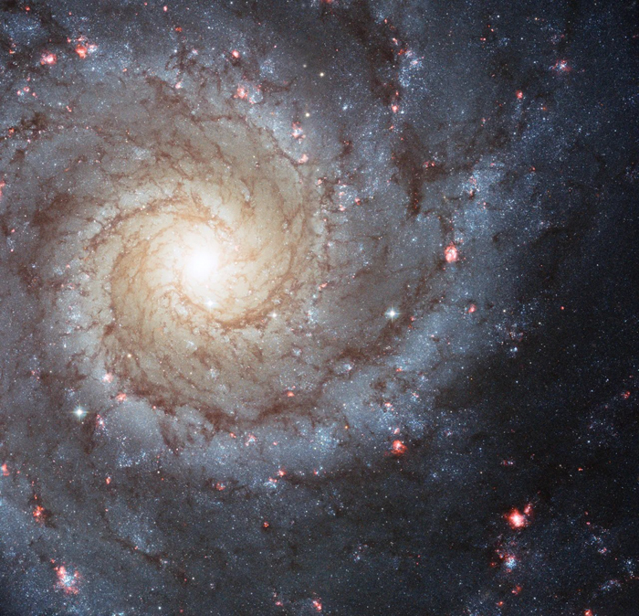 Phantom Galaxy or Messier 74