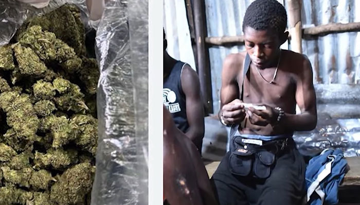 “Zombie Psychoactive” Users Begin Digging Up Graves For Ingredients, Prompting National Emergency “Zombie Psychoactive” Users Begin Digging Up Graves For Ingredients, Prompting National Emergency