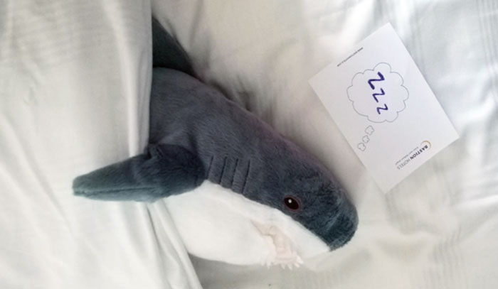 Cleaned A Hotel Room With A Shark Plush On The Bed. Left This Little Scene For The Guests To Find