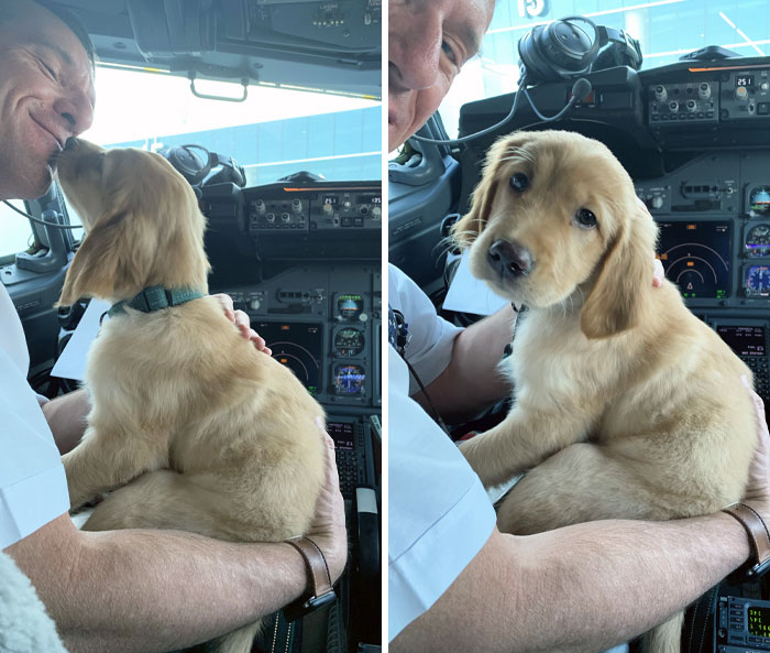 Whiskey Thanked Our Airline Pilot For Landing Us Home Safely