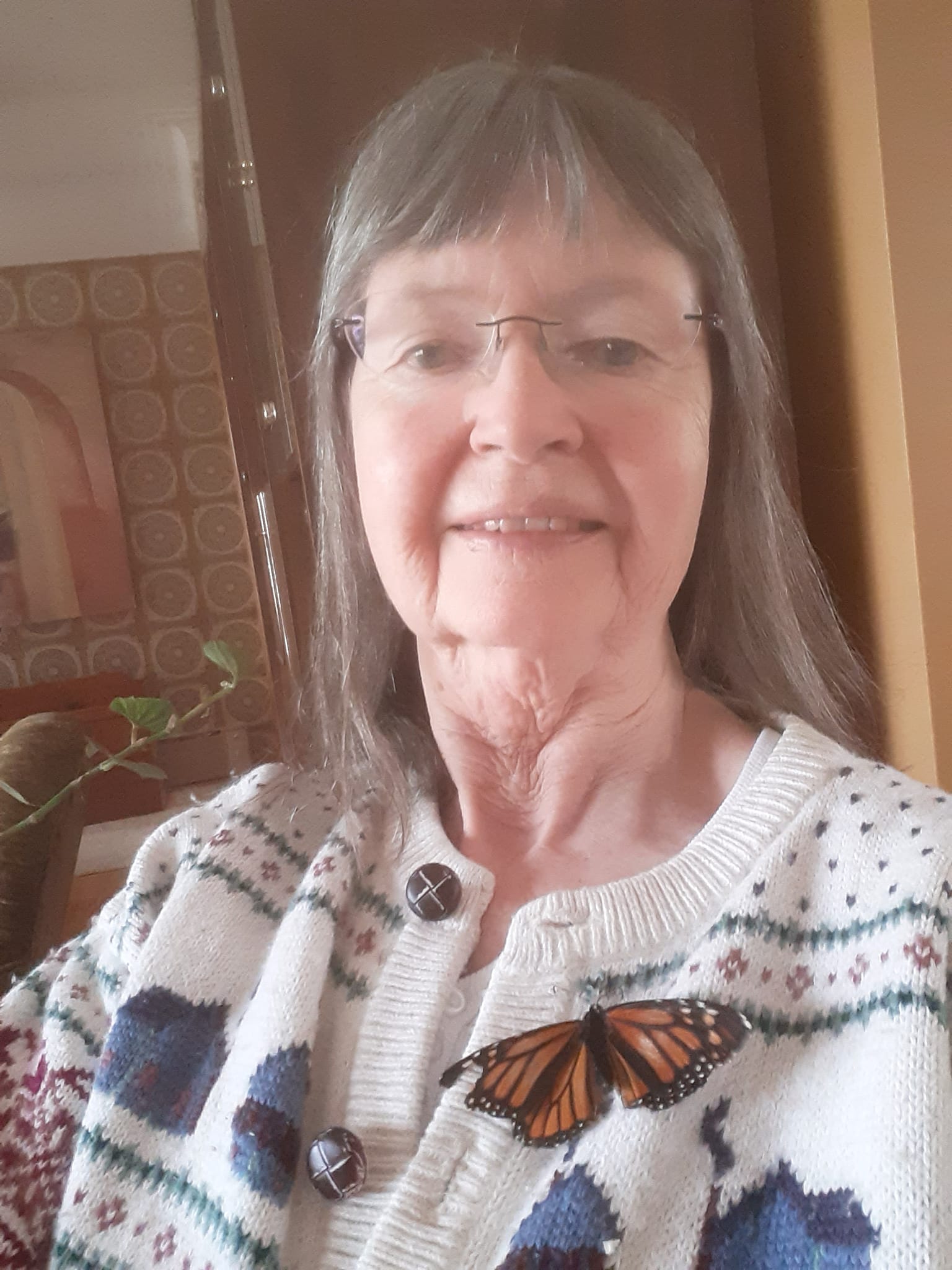 Unable To Migrate To Mexico, A Monarch Butterfly Found A New Home With A Loving Family In Canada Unable To Migrate To Mexico, A Monarch Butterfly Found A New Home With A Loving Family In Canada