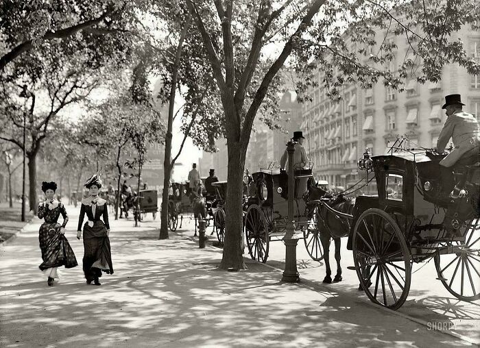 Cab Drivers In Madison Square Garden, New York, 1900