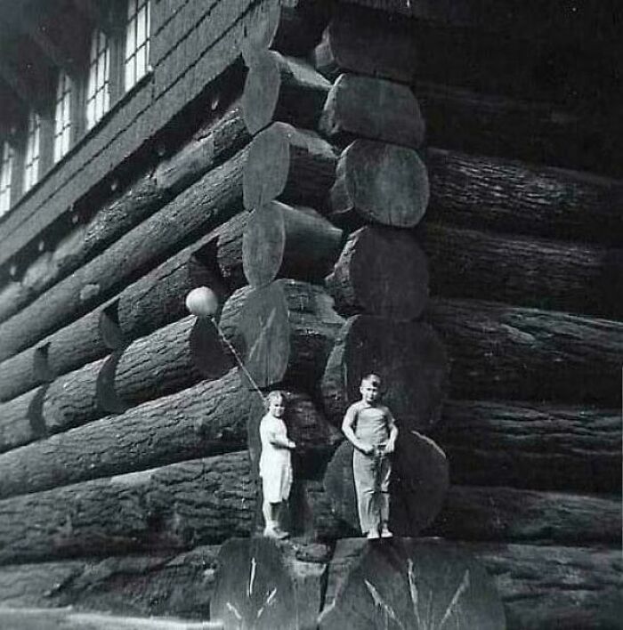 A Unique Photo From 1938 - A House Made Of Redwood. Well, Who Could Build Such A Miracle? Of Course, He Was A Genius Or A Giant!