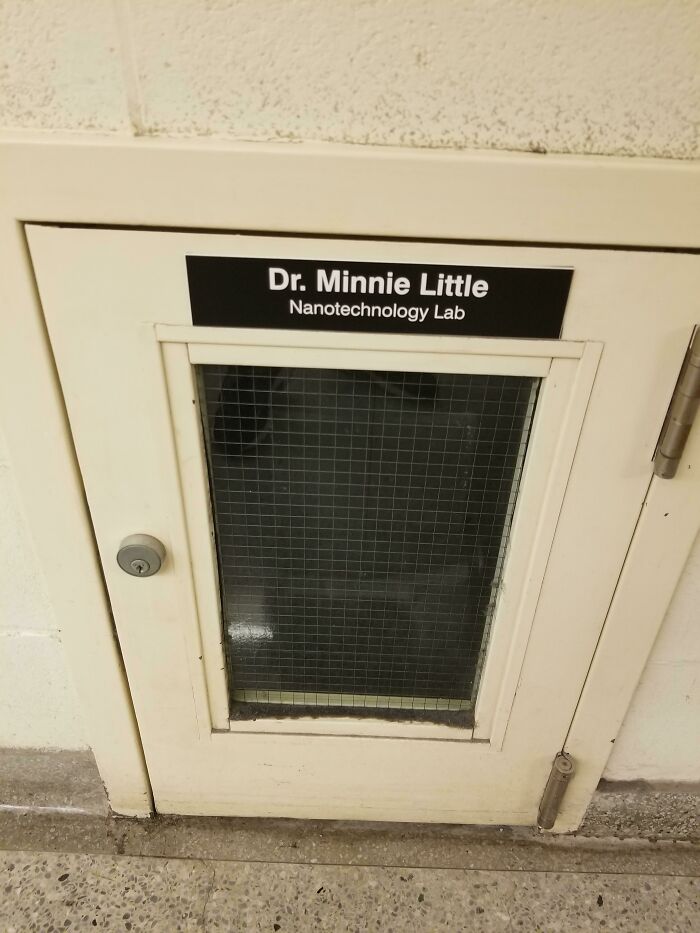 This Little Door At My University