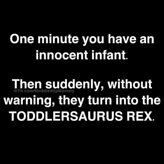 There’s Definitely No Warning!! 🦖 😂😂
••m.u.m••
.
.
.
#funny #hilarious #funnyparents #parenting #parenthood #parent #parents #motherhood #pregnancy #mummyblogger #muddledupmummy #mummyblog #mommyblog #mumblog #mommyblogger #momblog #parentingishard #cantstoplaughing #toofunny #funnytruth #funnyas #absolutelyhilarious #lol #laughoutloud #laughing #truth#laughingoutloud #rollonthefloorlaughing #forreal #truestory