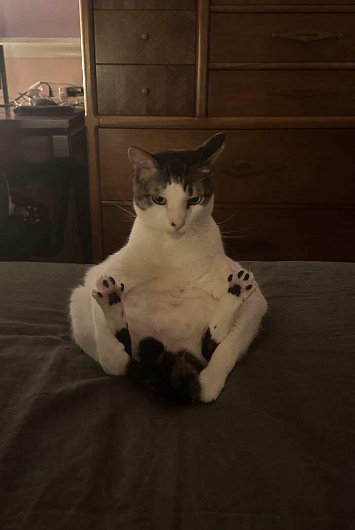 He Likes To Sit Like This And Bite His Toes For Fun