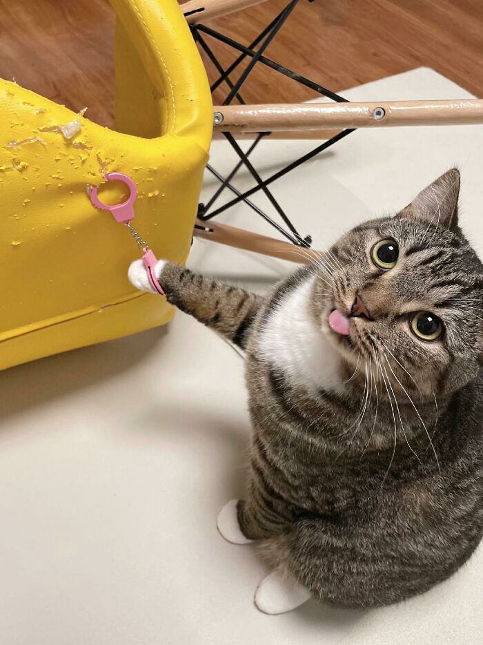 Looks Like I've Been Caught