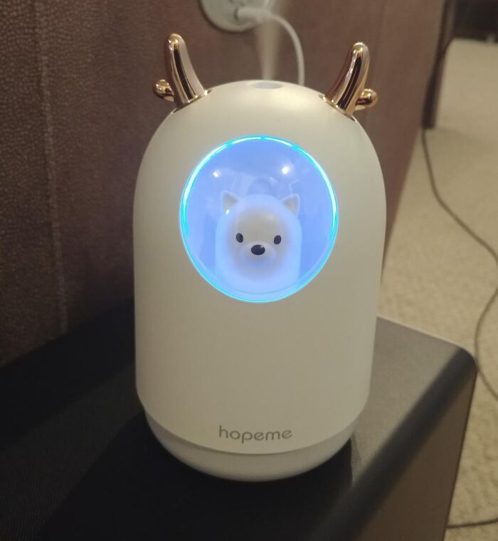 Bring Adorable Moisture To Your Space With A Cute Pet Humidifier