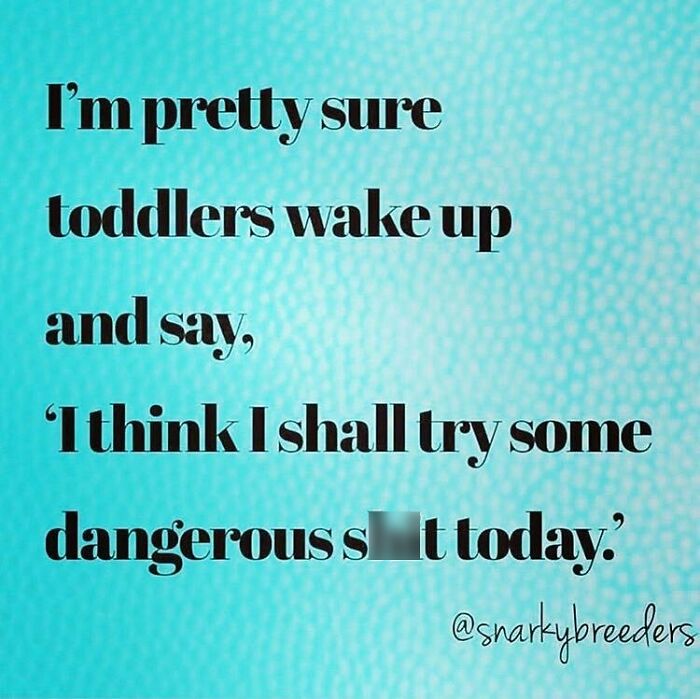Good Morning! My Children Have Already Tried To Drink Windex And Throw Themselves Down The Stairs Today. What’s On Your Agenda? .
.
in Between Saving Your Kids From Themselves, Make Sure You Follow One Of My Faves, @snarkybreeders !!!