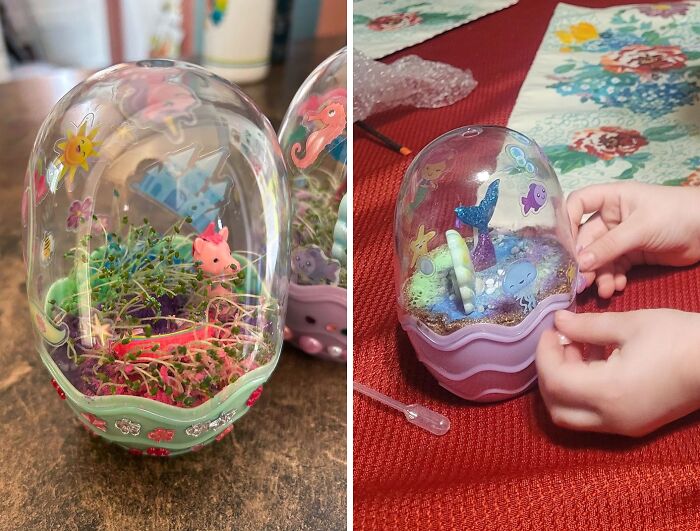 Is It A Toy? A Science Project? Their Own Mini-Garden? With The Creativity For Kids Mermaid Terrarium Kit, It's All Of The Above!