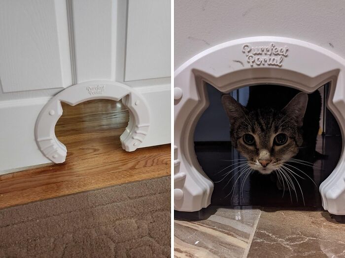 Provide Freedom For Your Feline Friend With A Cat Door Built Into Your Interior