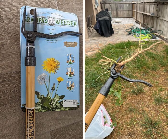 Stand Tall & Weed: Grampa's Weeder, Your No-Bend Solution To Garden Pests!