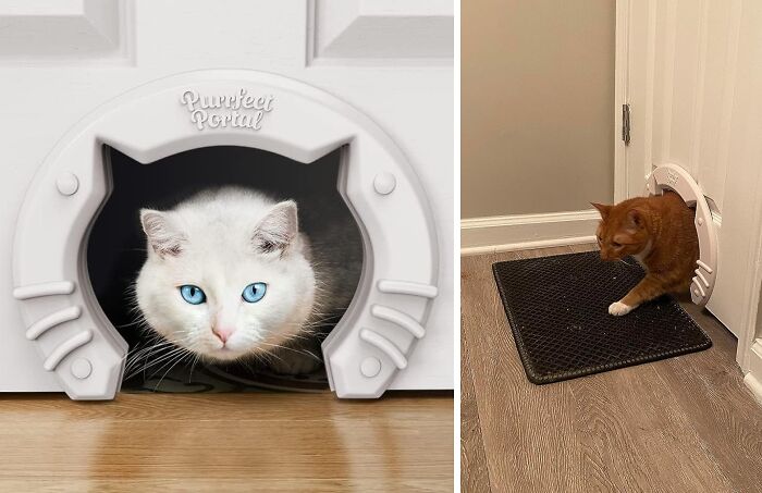 Purr-Fect Entrance: The Cat Door For Your Furry Friend's Freedom